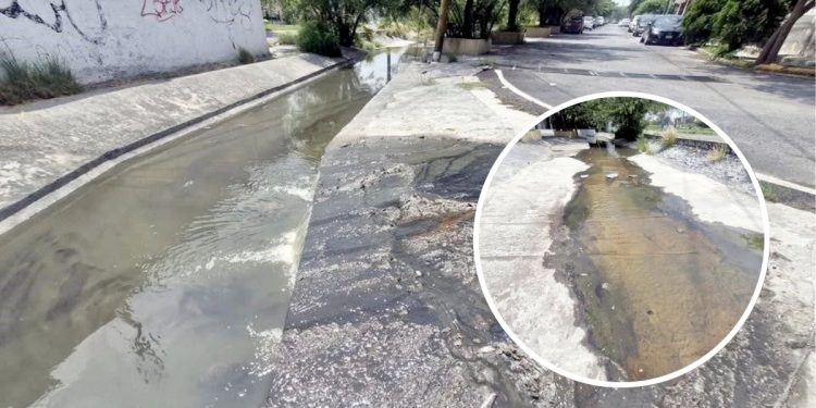 Vecinos Unidos - Vecinos Unidos - Vecinos Unidos