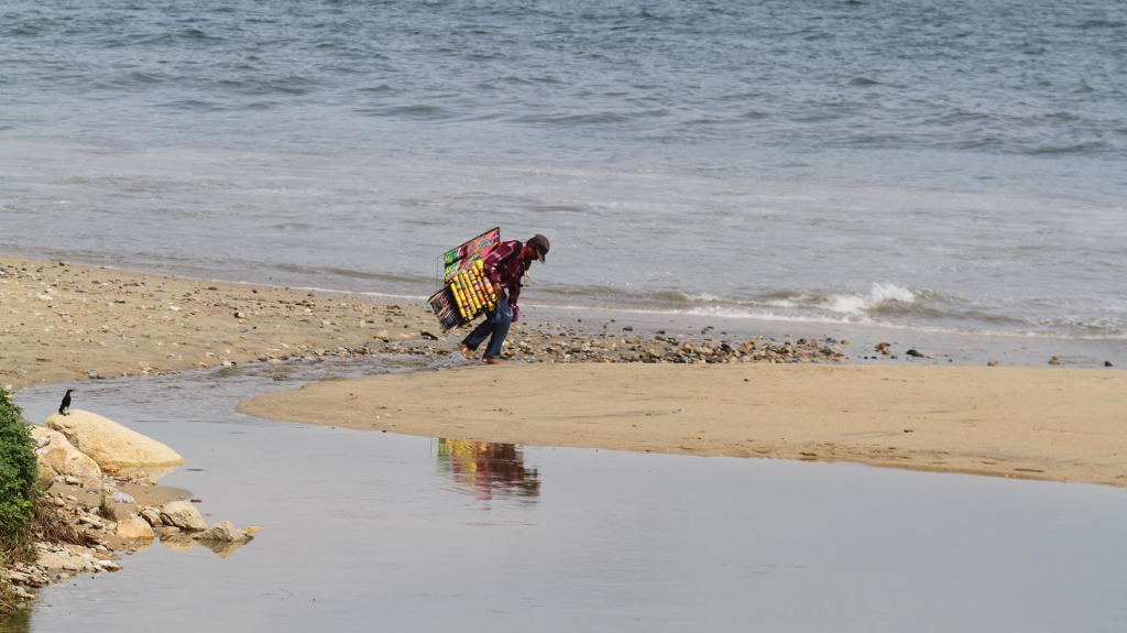 Image - Vecinos Unidos Cofepris Alertó Sobre 16 Playas Contaminadas, Incluyendo En Acapulco Y Vallarta. Consulta La Lista Completa Y Descarga La App Playas Mx.