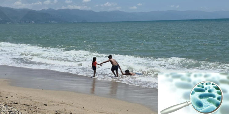 Playas Contaminadas - Vecinos Unidos - Vecinos Unidos