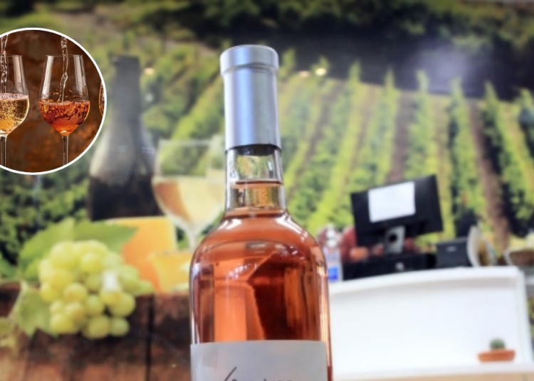 Coahuila Invita Al Coahvino 2025 - Vecinos Unidos