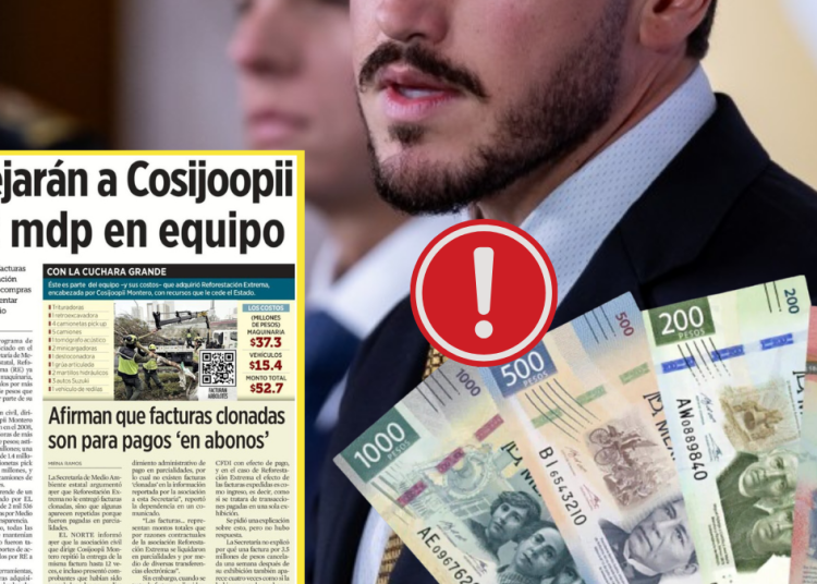 Reforestación Extrema - Vecinos Unidos