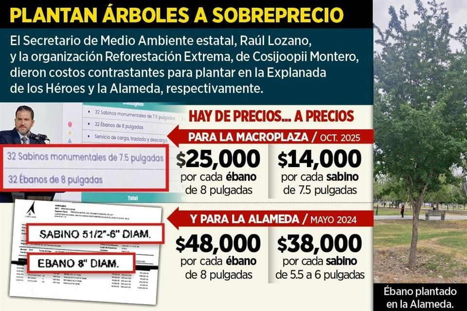 Image - Vecinos Unidos Investigan a Reforestación Extrema Por Sobrecostos En árboles De La Alameda. El Dinero Público De Nuevo León Fue Usado Para Comprar Su Maquinaria Privada En El Fraude De Samuel.