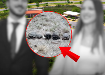 Negligencia Estatal - Vecinos Unidos