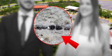 Negligencia Estatal - Vecinos Unidos