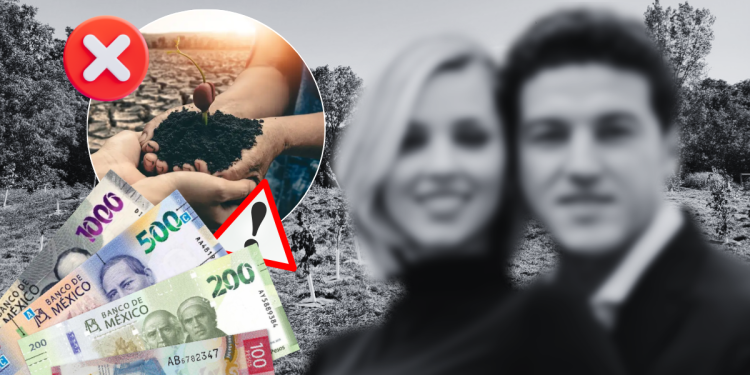 Las Campañas De Mc - Vecinos Unidos