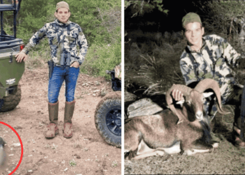 Two-panel Hunting Photo: Left Shows a Camo-clad Hunter Beside a Green Vehicle with a Blurred Carcass on the Ground; Right Shows the Hunter with a Rifle Beside a Ram in a Wooded Area. - Vecinos Unidos