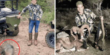 Two-panel Hunting Photo: Left Shows a Camo-clad Hunter Beside a Green Vehicle with a Blurred Carcass on the Ground; Right Shows the Hunter with a Rifle Beside a Ram in a Wooded Area. - Vecinos Unidos