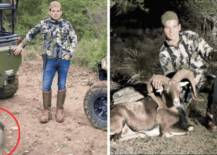 Two-panel Hunting Photo: Left Shows a Camo-clad Hunter Beside a Green Vehicle with a Blurred Carcass on the Ground; Right Shows the Hunter with a Rifle Beside a Ram in a Wooded Area. - Vecinos Unidos